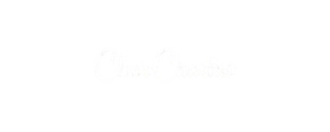 Shopify brand we work with