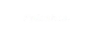 Shopify brand we work with
