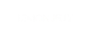 Shopify brand we work with
