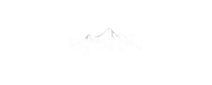 Shopify brand we work with