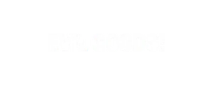Shopify brand we work with