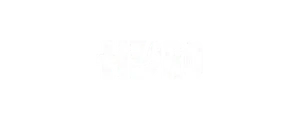Shopify brand we work with
