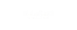 Shopify brand we work with