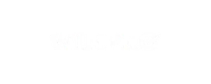Shopify brand we work with