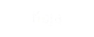 Shopify brand we work with