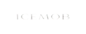 Shopify brand we work with